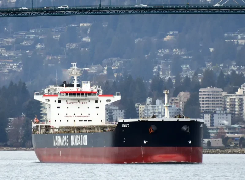 ARIS T Bulk Carrier IMO 9343895 photo 2