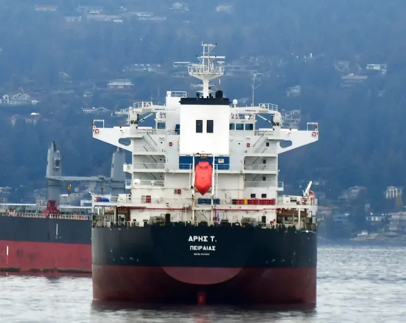 ARIS T Bulk Carrier IMO 9343895 photo 4