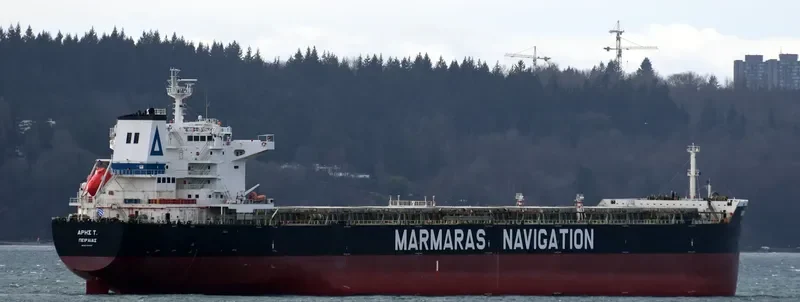 ARIS T Bulk Carrier IMO 9343895 photo 5