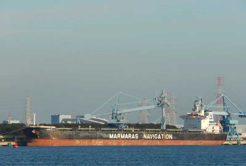 ARIS T Bulk Carrier IMO 9343895 photo 6