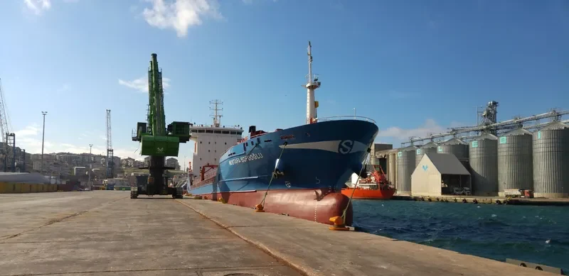 MUSTAFA SOFUOGLU General Cargo IMO 9343950 photo 6