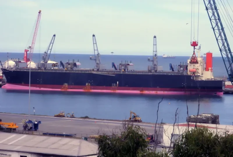 WORLD SWAN II Bulk Carrier IMO 9344045 photo 2