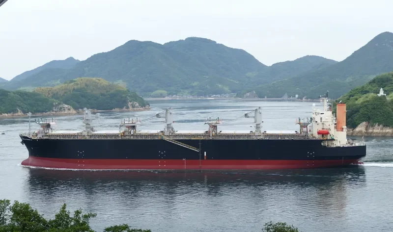 WORLD SWAN II Bulk Carrier IMO 9344045 photo 7