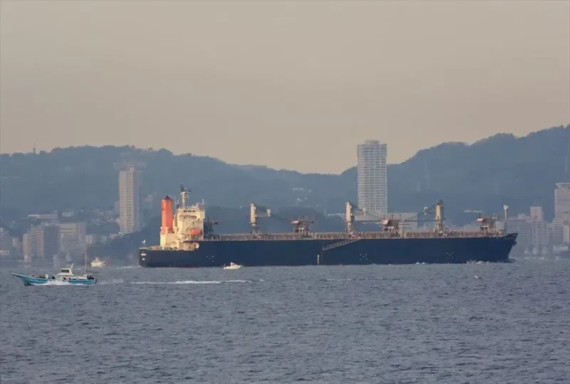 WORLD SWAN II Bulk Carrier IMO 9344045 photo 9