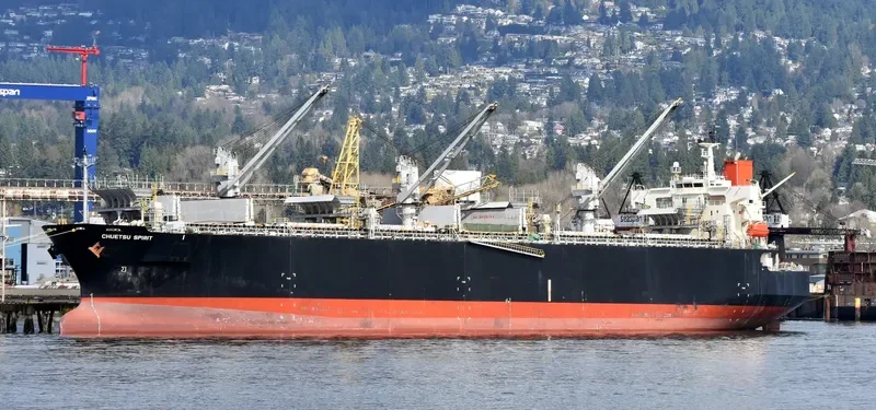 CHUETSU SPIRIT Bulk Carrier IMO 9344057 photo 3