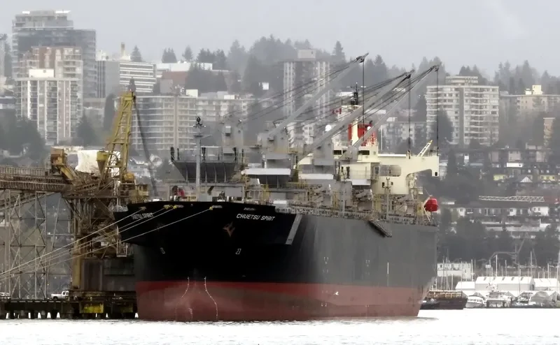 CHUETSU SPIRIT Bulk Carrier IMO 9344057 photo 4