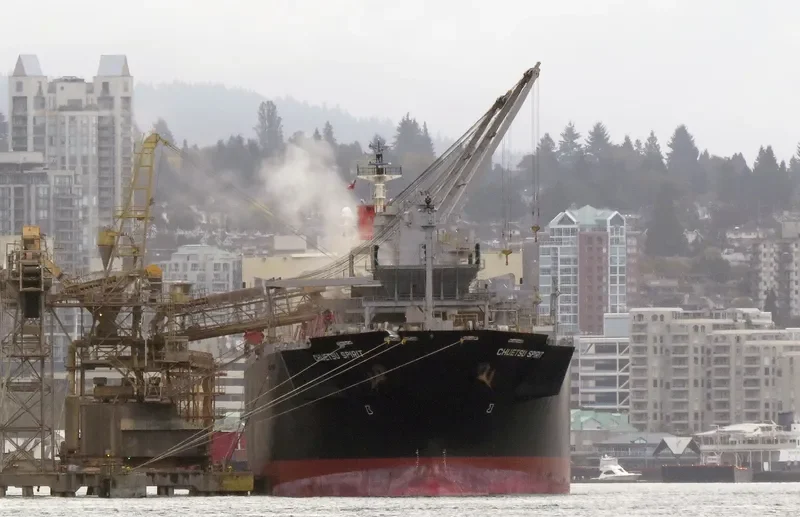 CHUETSU SPIRIT Bulk Carrier IMO 9344057 photo 6