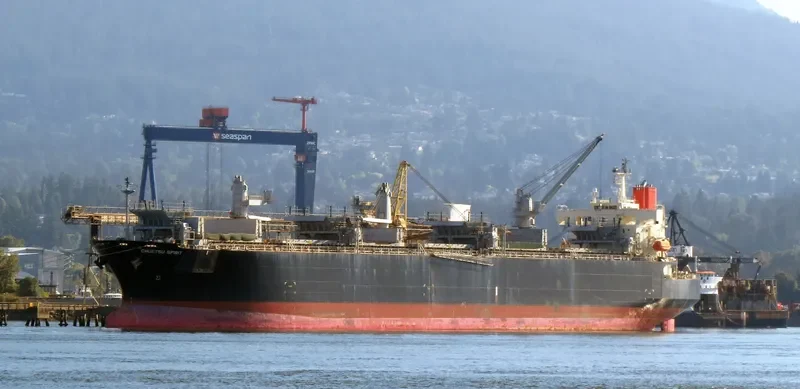CHUETSU SPIRIT Bulk Carrier IMO 9344057 photo 8