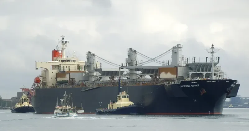 CHUETSU SPIRIT Bulk Carrier IMO 9344057 photo 10