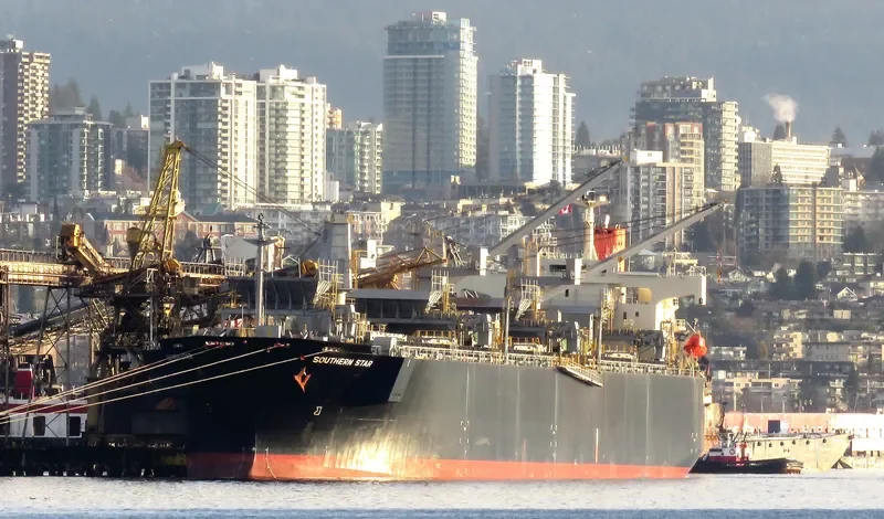 SOUTHERN STAR Bulk Carrier IMO 9344071 photo 4