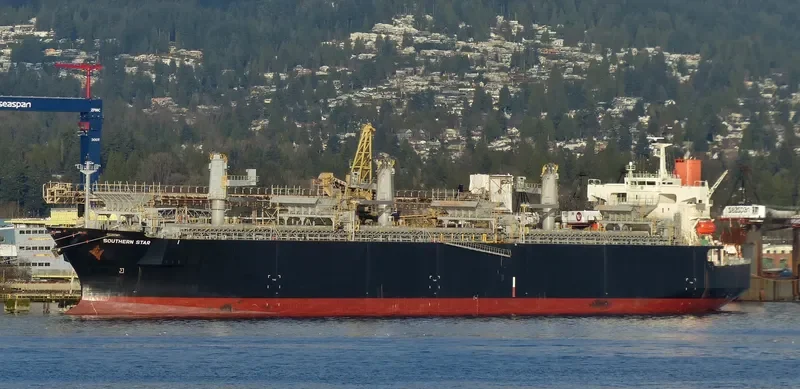 SOUTHERN STAR Bulk Carrier IMO 9344071 photo 6