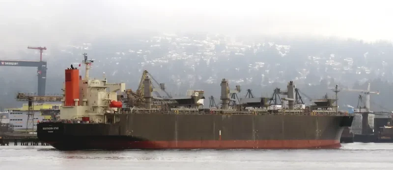 SOUTHERN STAR Bulk Carrier IMO 9344071 photo 9