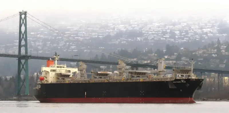 SOUTHERN STAR Bulk Carrier IMO 9344071 photo 10