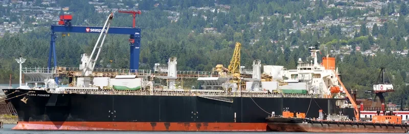 FLORA PIONEER Bulk Carrier IMO 9344083