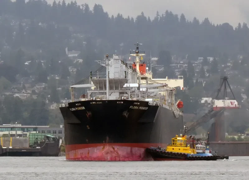 FLORA PIONEER Bulk Carrier IMO 9344083 photo 3