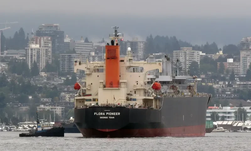 FLORA PIONEER Bulk Carrier IMO 9344083 photo 4