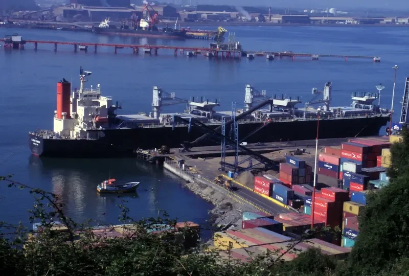 FLORA PIONEER Bulk Carrier IMO 9344083 photo 5