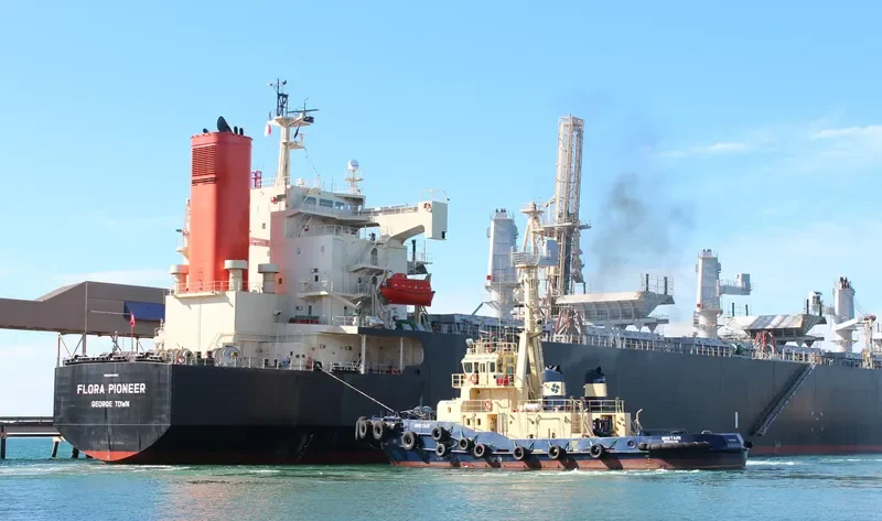 FLORA PIONEER Bulk Carrier IMO 9344083 photo 7