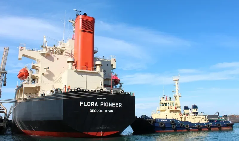 FLORA PIONEER Bulk Carrier IMO 9344083 photo 8