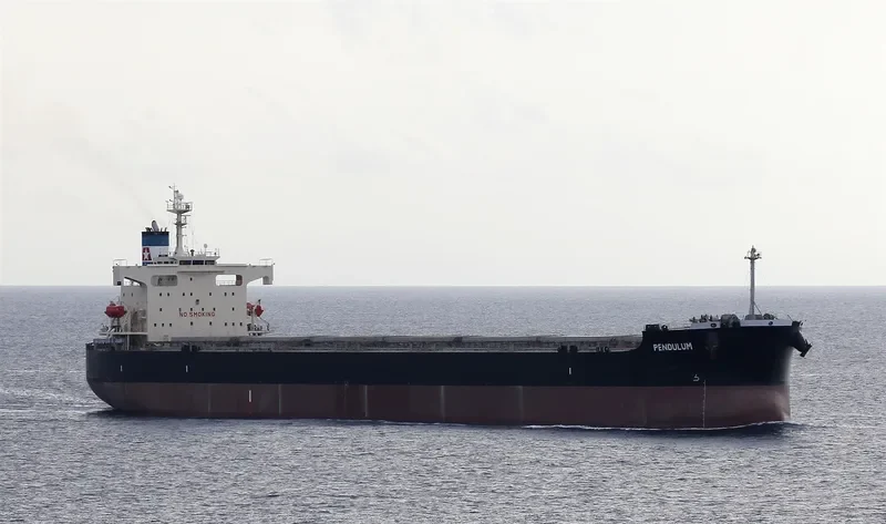 PENDULUM Bulk Carrier IMO 9344095 photo 3