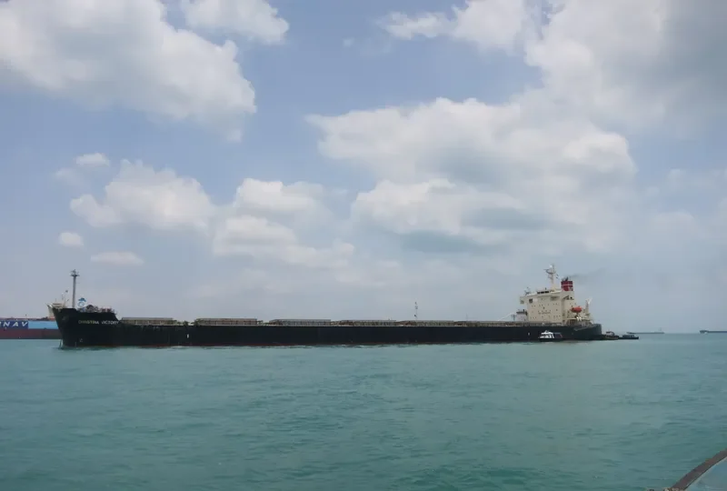 PENDULUM Bulk Carrier IMO 9344095 photo 4