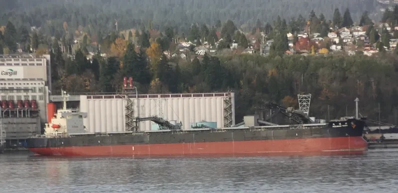 PENDULUM Bulk Carrier IMO 9344095 photo 5