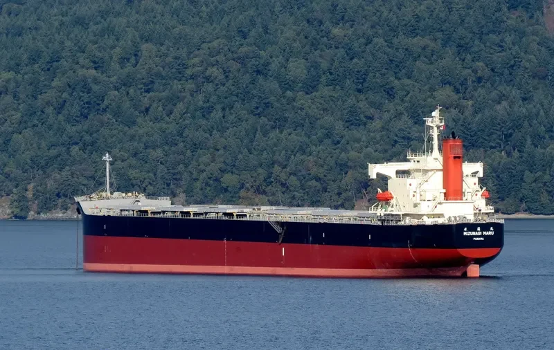 PENDULUM Bulk Carrier IMO 9344095 photo 8