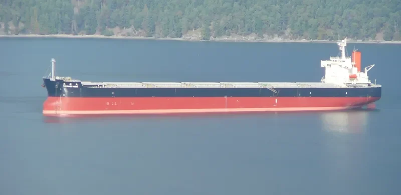PENDULUM Bulk Carrier IMO 9344095 photo 10