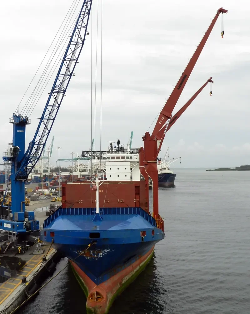 DIANA J Container Ship IMO 9344239 photo 4