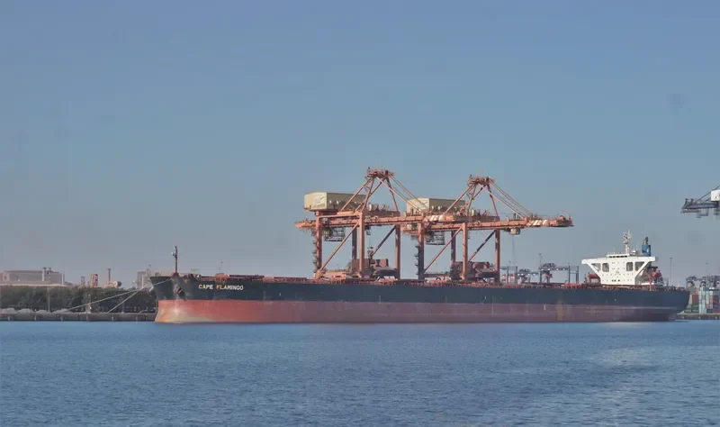 CAPE FLAMINGO Bulk Carrier IMO 9344289