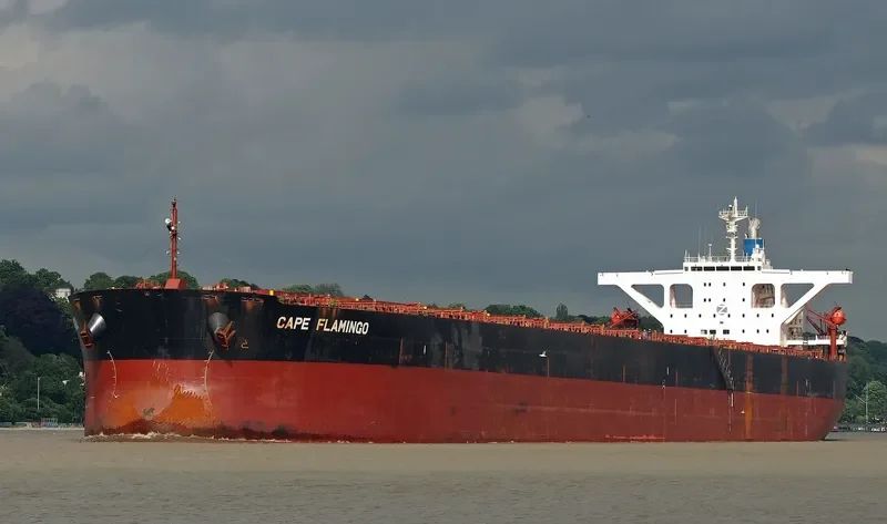 CAPE FLAMINGO Bulk Carrier IMO 9344289 photo 3