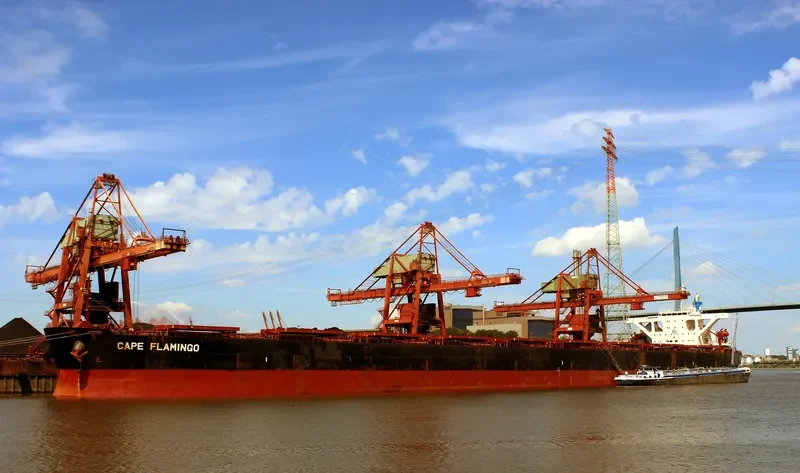 CAPE FLAMINGO Bulk Carrier IMO 9344289 photo 4
