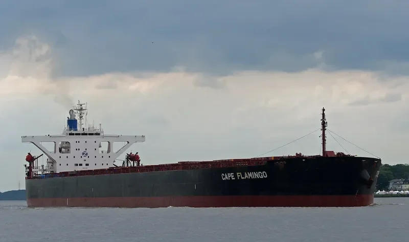 CAPE FLAMINGO Bulk Carrier IMO 9344289 photo 5