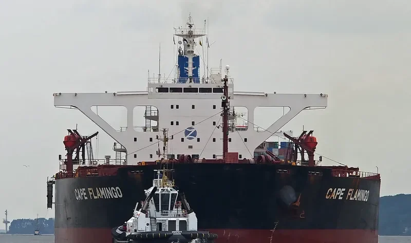 CAPE FLAMINGO Bulk Carrier IMO 9344289 photo 6