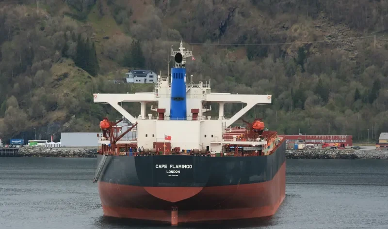 CAPE FLAMINGO Bulk Carrier IMO 9344289 photo 7