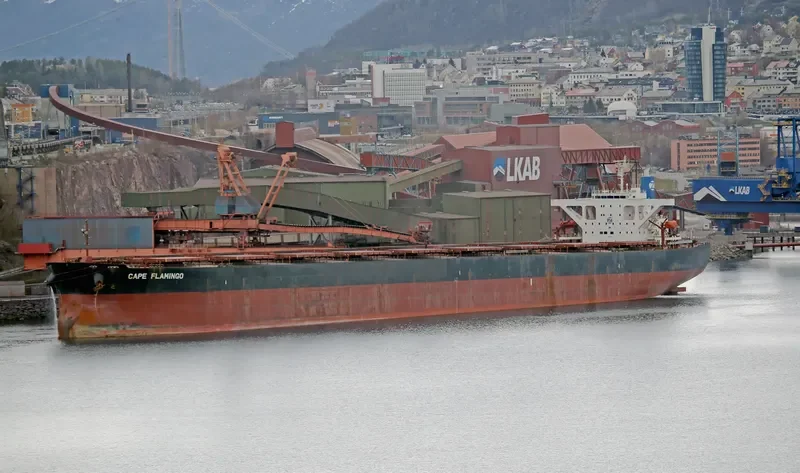 CAPE FLAMINGO Bulk Carrier IMO 9344289 photo 8