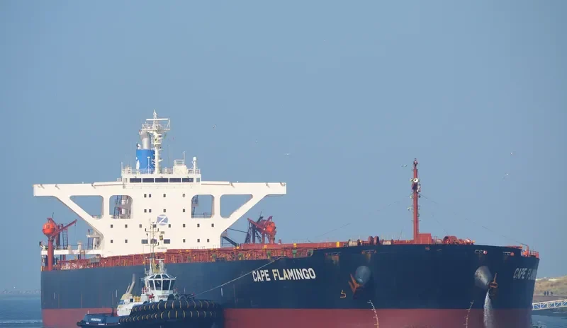 CAPE FLAMINGO Bulk Carrier IMO 9344289 photo 9