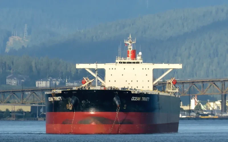 OCEAN TRINITY Bulk Carrier IMO 9344291 photo 3
