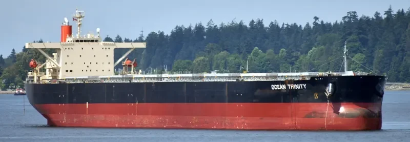 OCEAN TRINITY Bulk Carrier IMO 9344291 photo 4