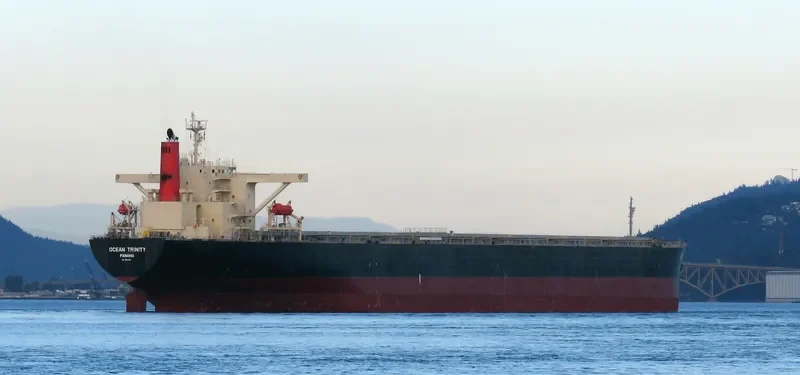 OCEAN TRINITY Bulk Carrier IMO 9344291 photo 6