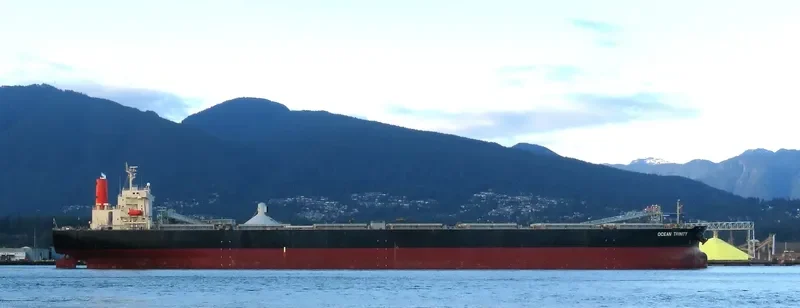 OCEAN TRINITY Bulk Carrier IMO 9344291 photo 7