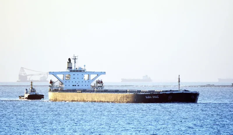 OCEAN SHINE Bulk Carrier IMO 9344306 photo 3
