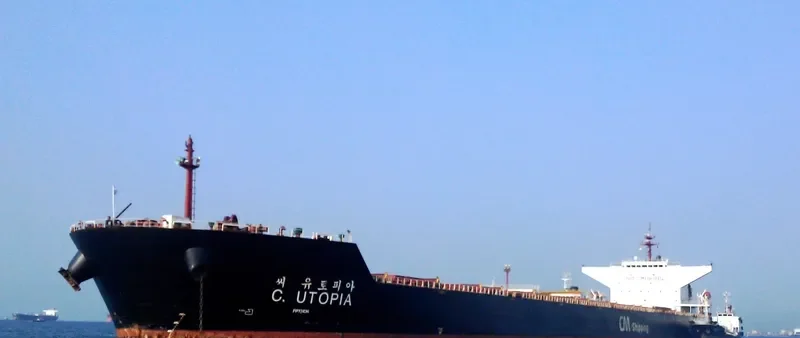 C.UTOPIA Bulk Carrier IMO 9344461 photo 2