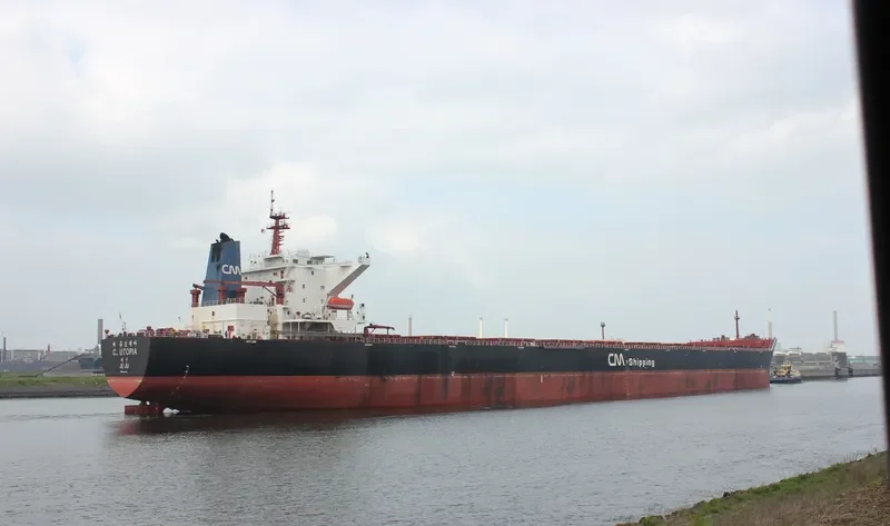 C.UTOPIA Bulk Carrier IMO 9344461 photo 4
