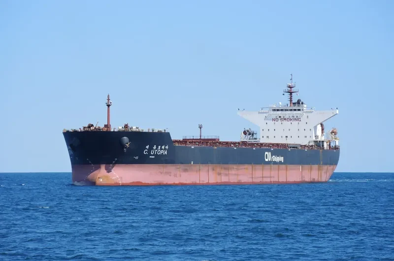 C.UTOPIA Bulk Carrier IMO 9344461 photo 8