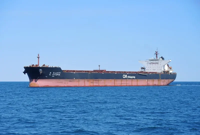 C.UTOPIA Bulk Carrier IMO 9344461 photo 9