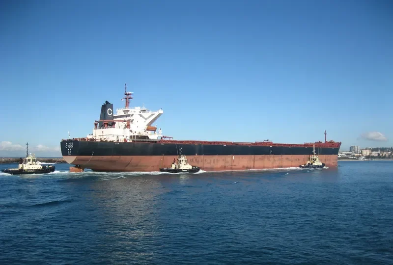 C.VISION Bulk Carrier IMO 9344473