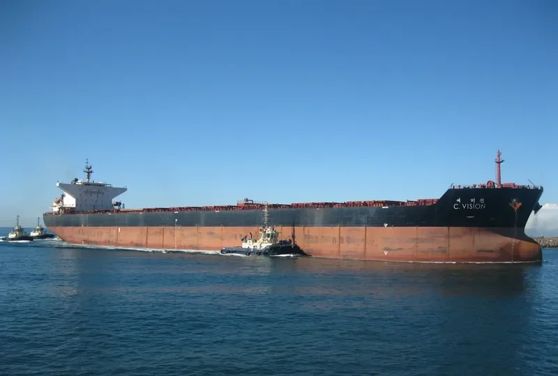 C.VISION Bulk Carrier IMO 9344473 photo 2