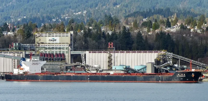 C.VISION Bulk Carrier IMO 9344473 photo 3