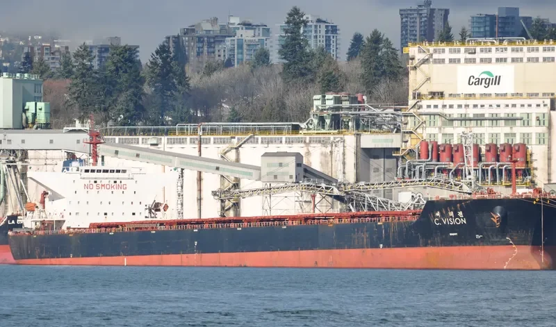 C.VISION Bulk Carrier IMO 9344473 photo 4